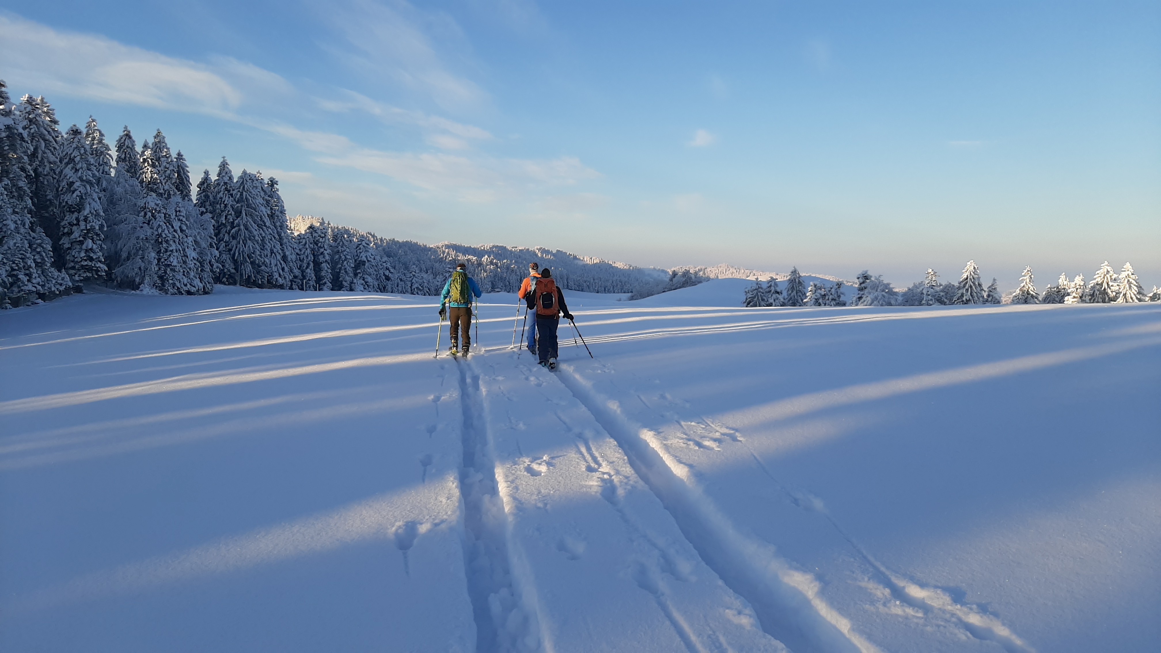 Bild1