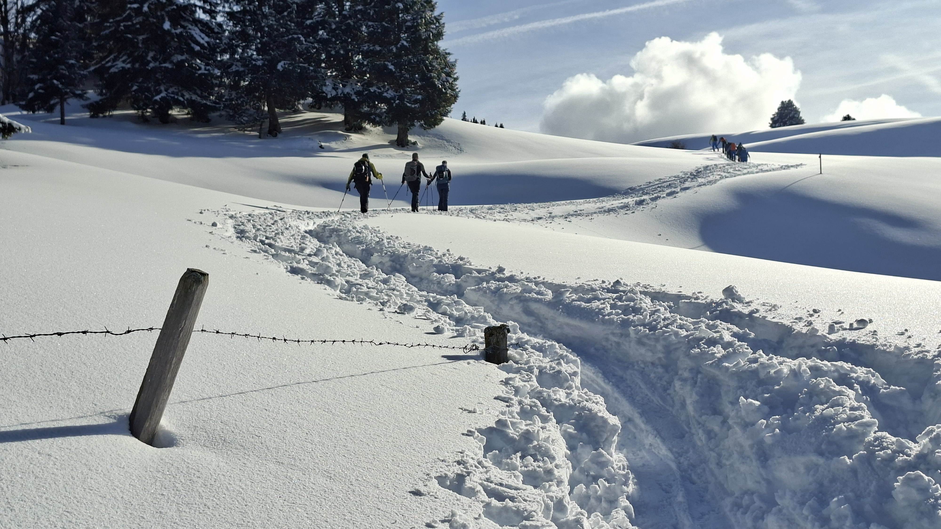 Bild1