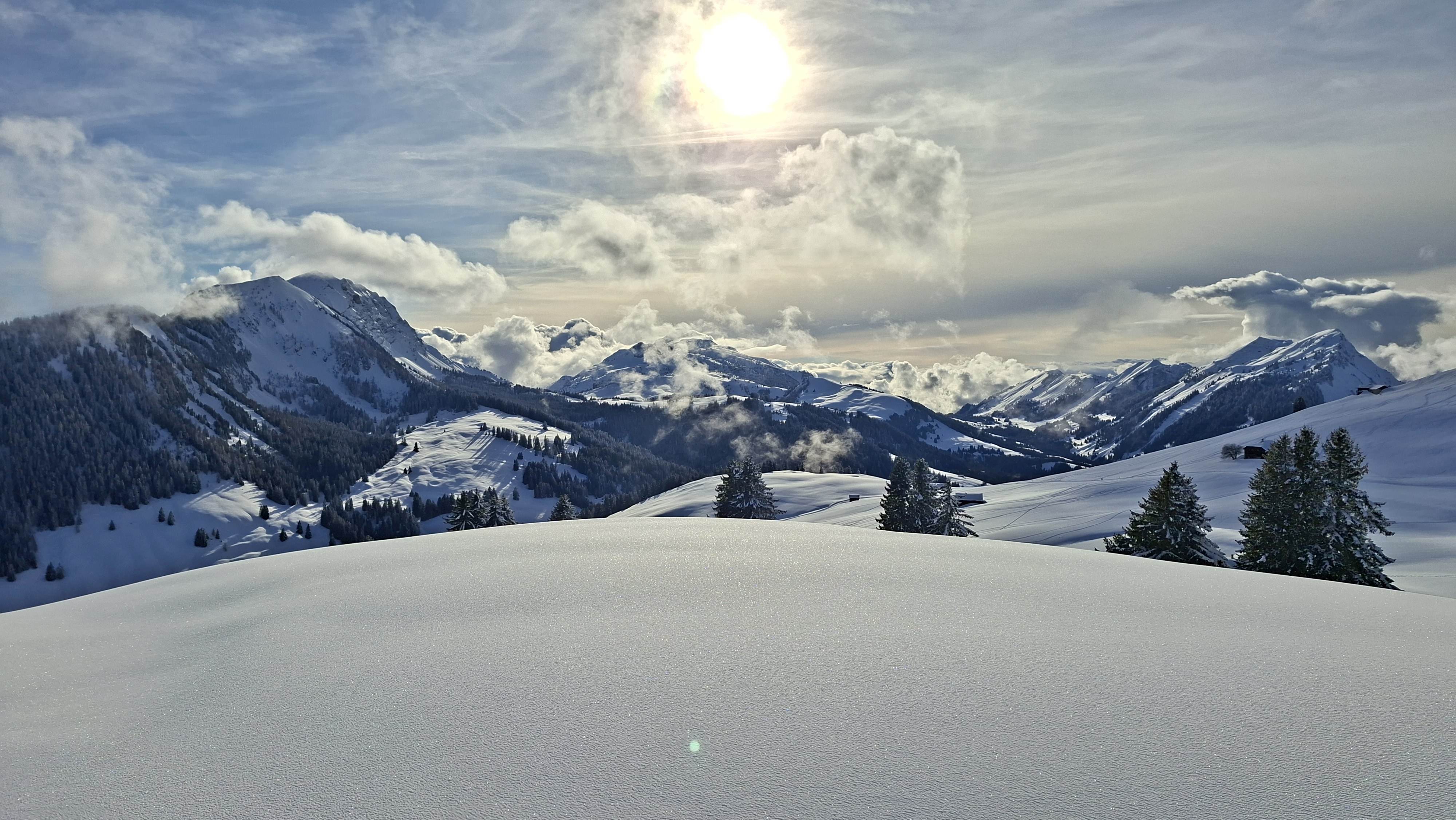 Bild3