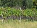 ticino_05