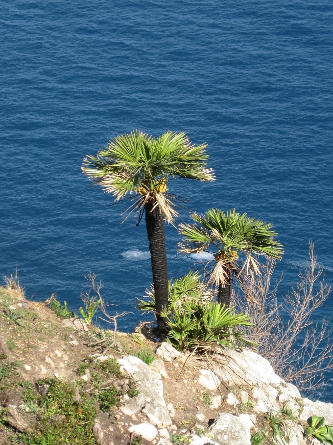 Mallorca 1