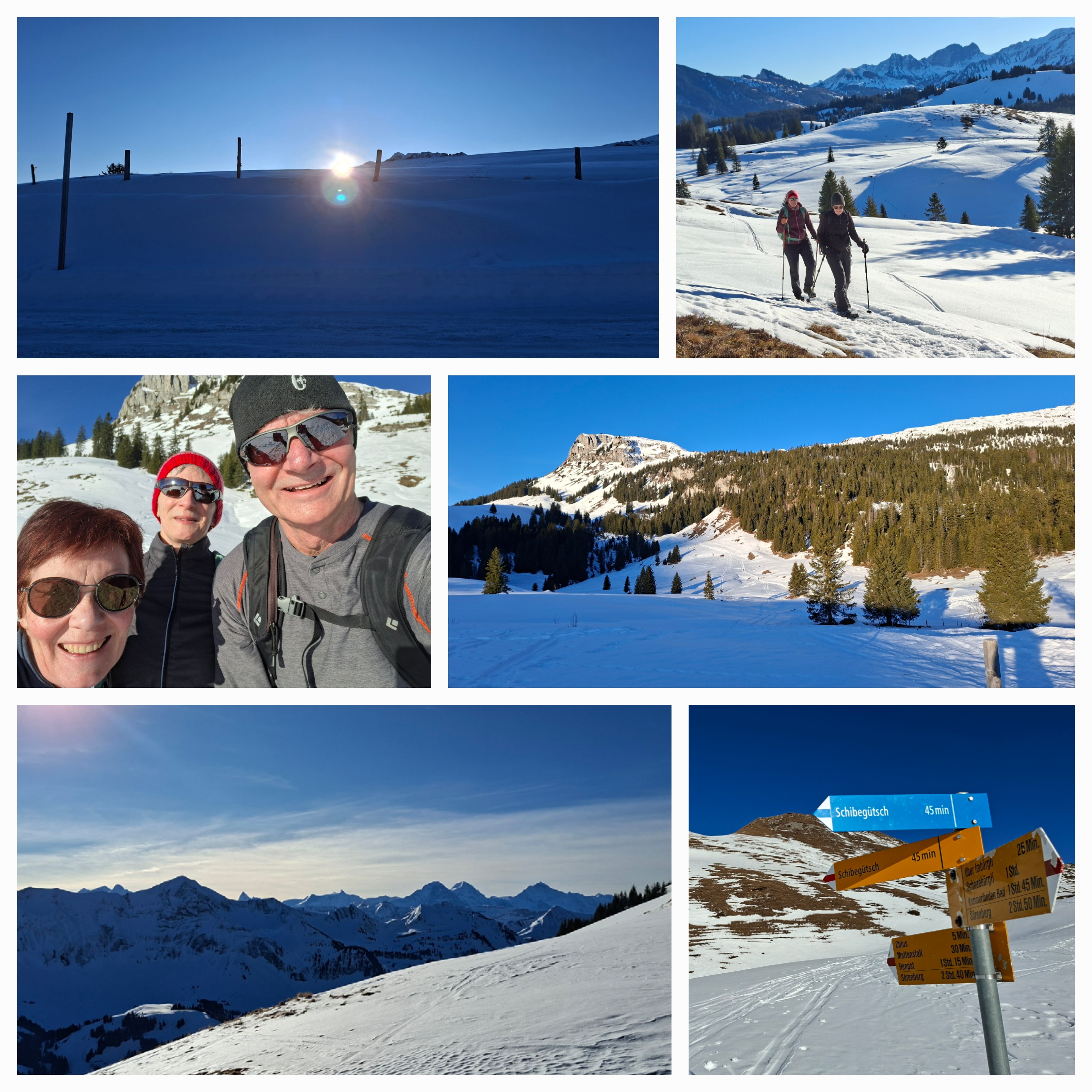 Collage1