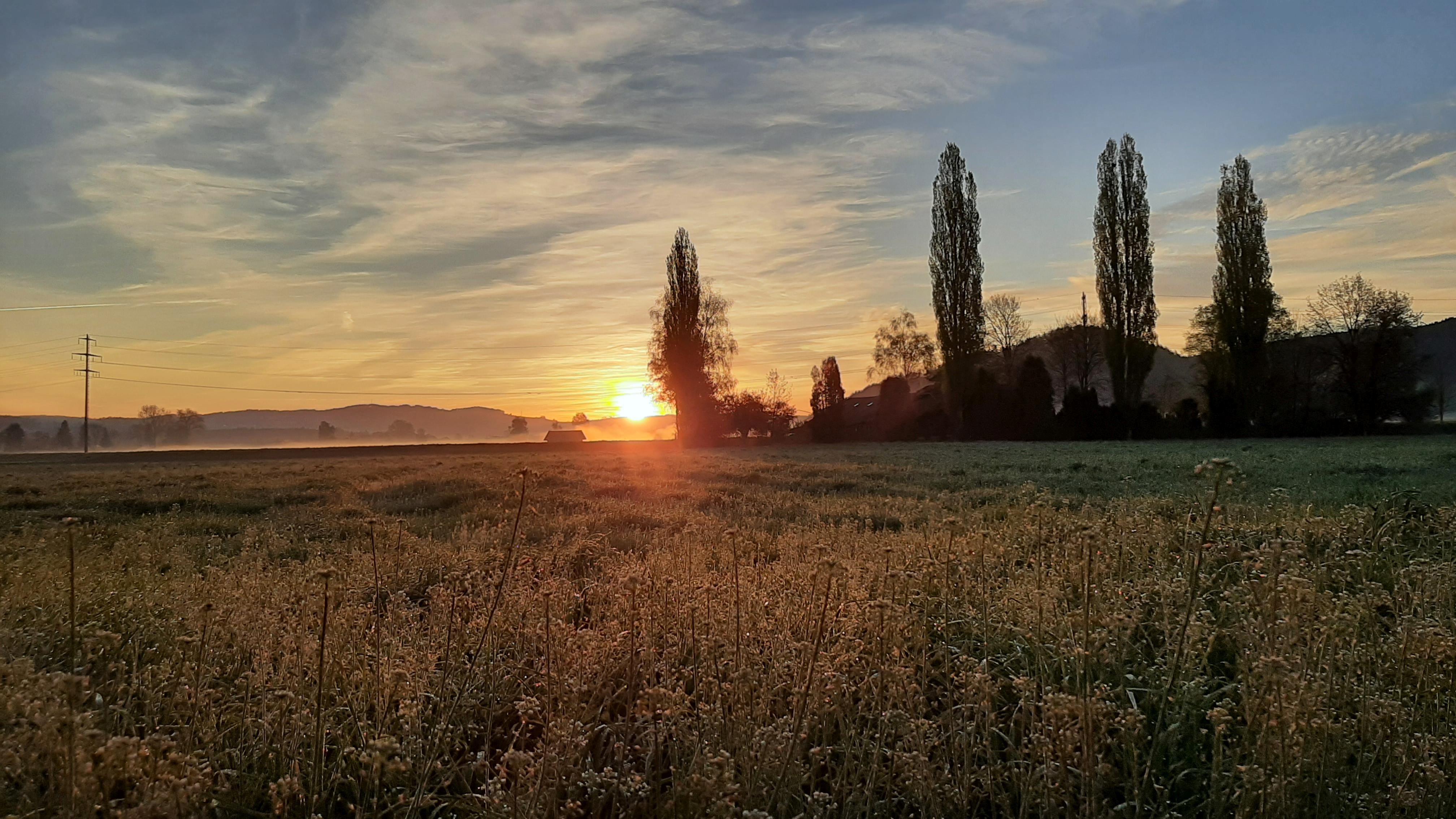 Bild1