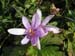 wildspitz_08