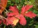 wildspitz_11