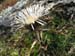 wildspitz_17
