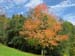 wildspitz_20