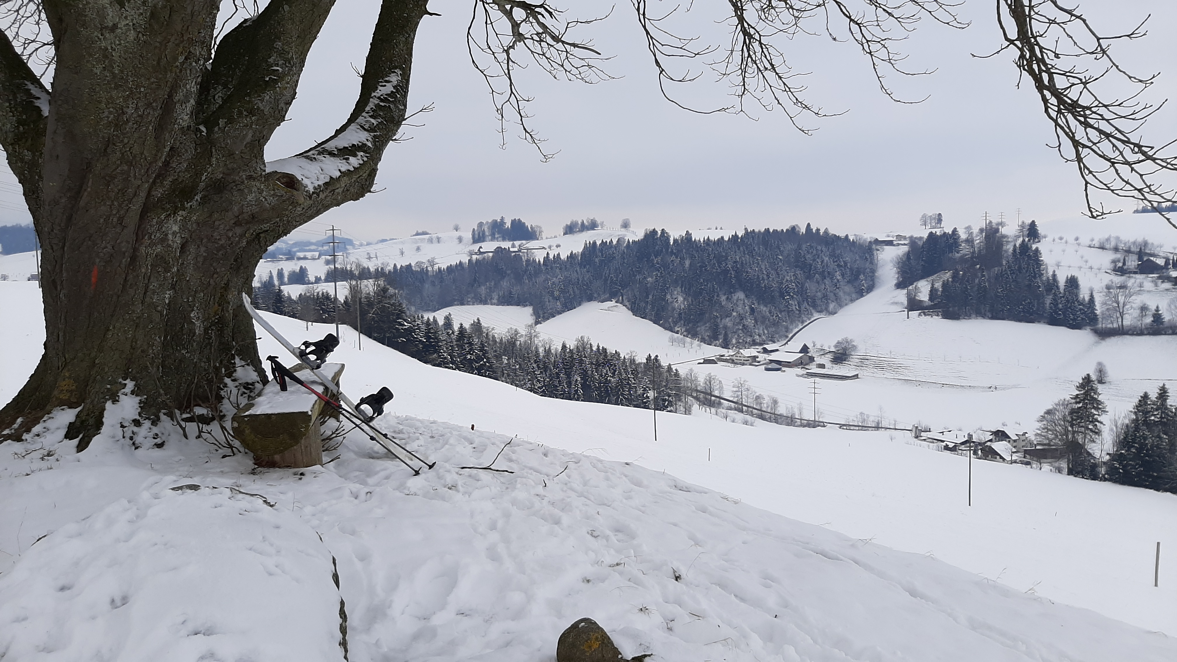 Wellsberg