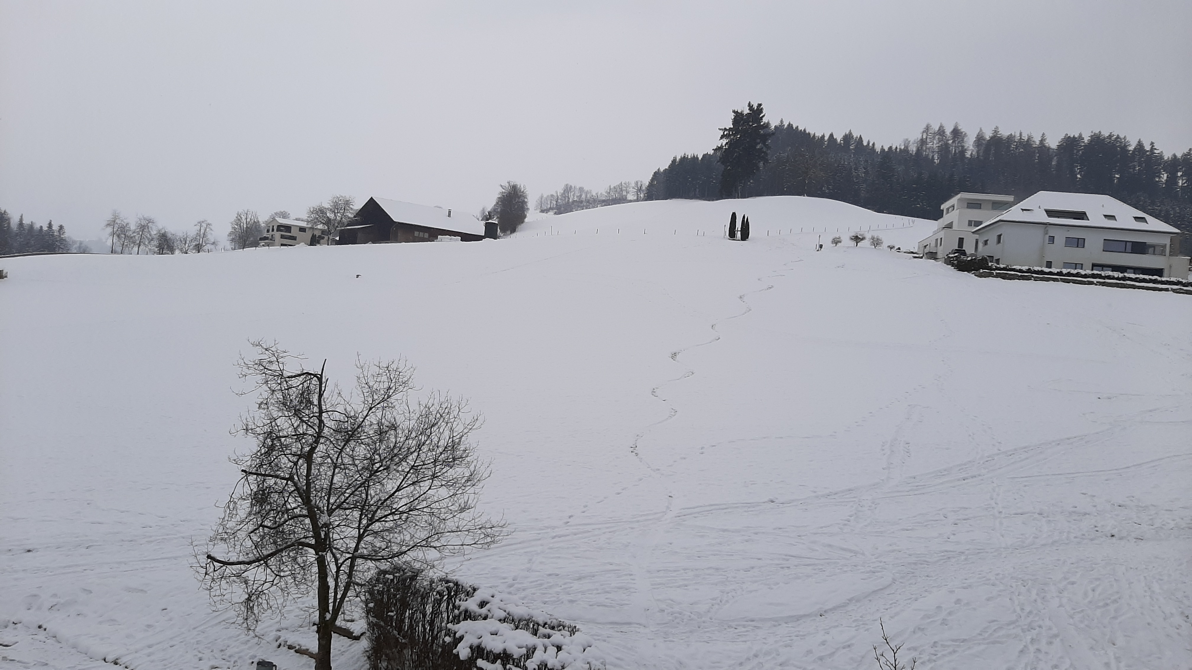 Schlossfeld
