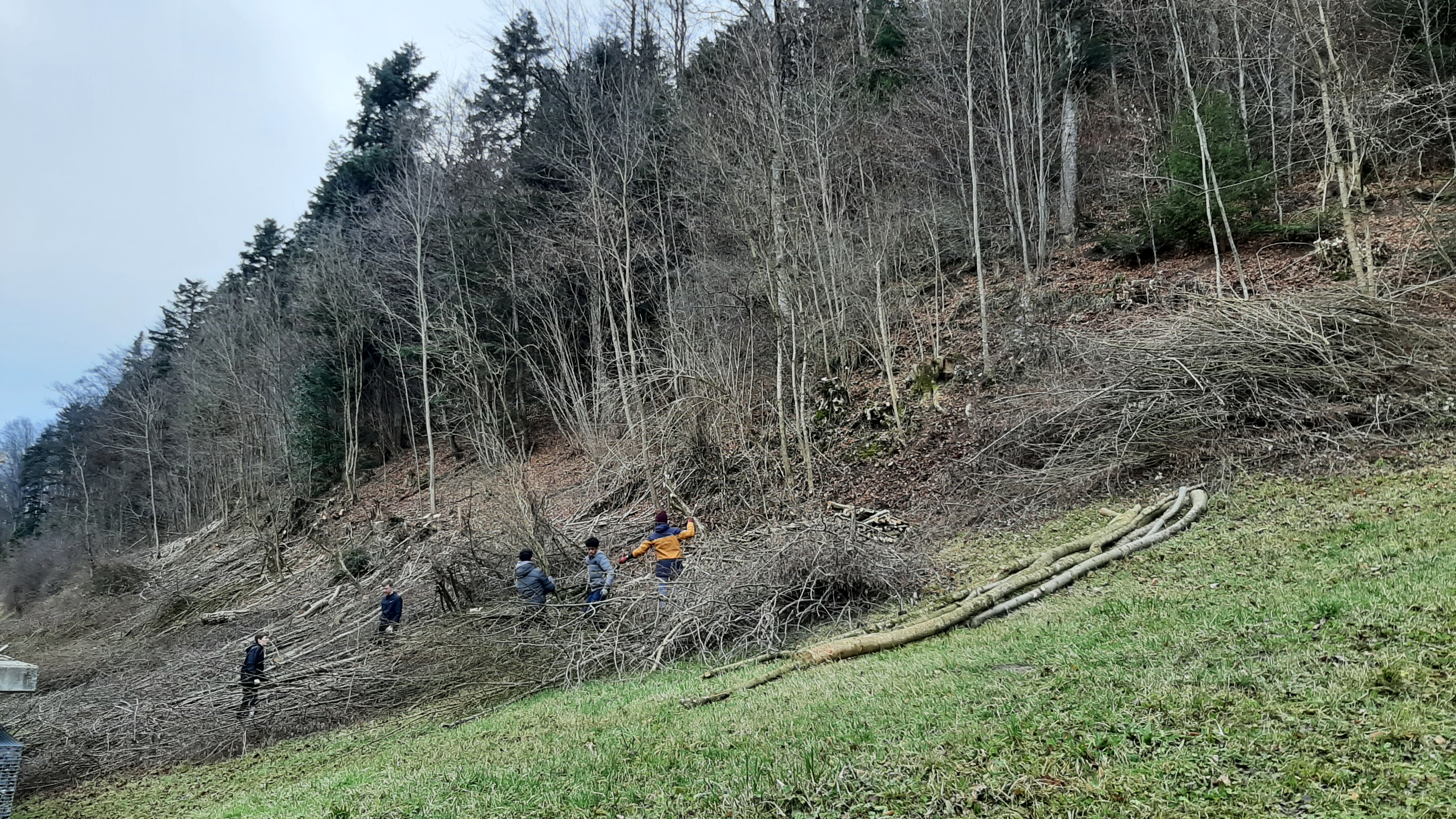 Bild1