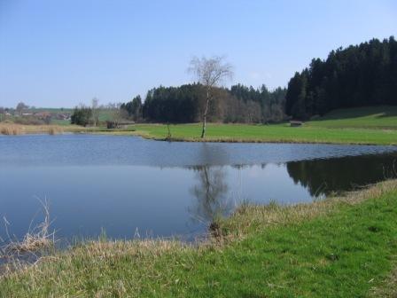 Bild1