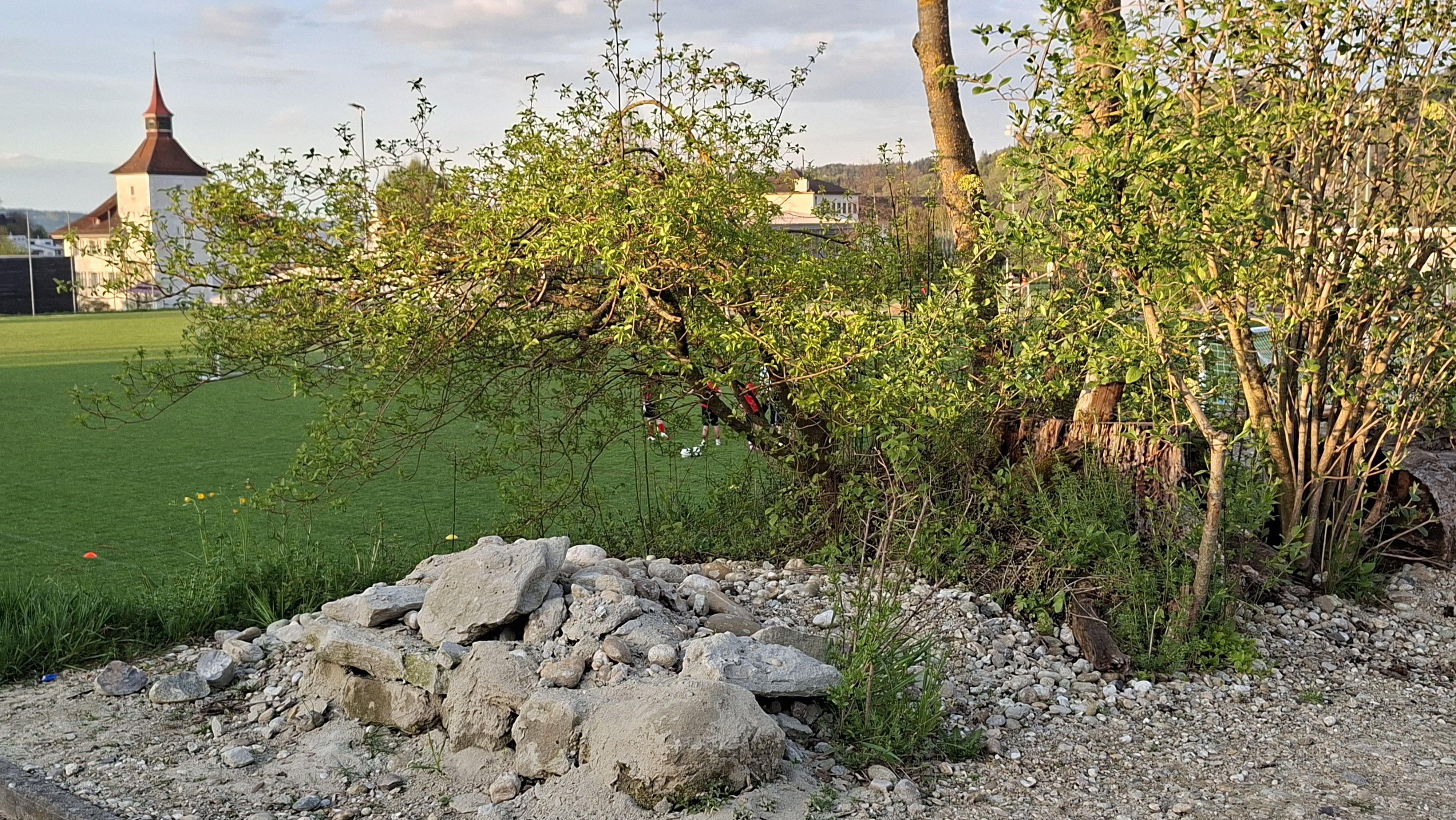 Bild1