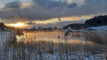 Bild1